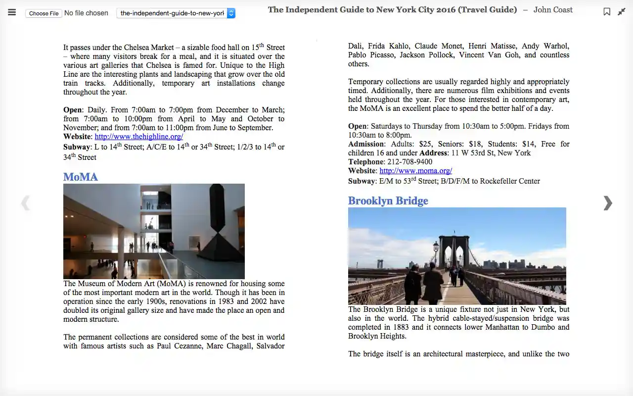 new-york-travel-guide-review-independent-guidebooks-review-best-travel-blogger-photographer-india
